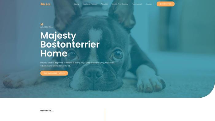 Majestybostonterrierhome.com - Terrier Puppy Scam Review