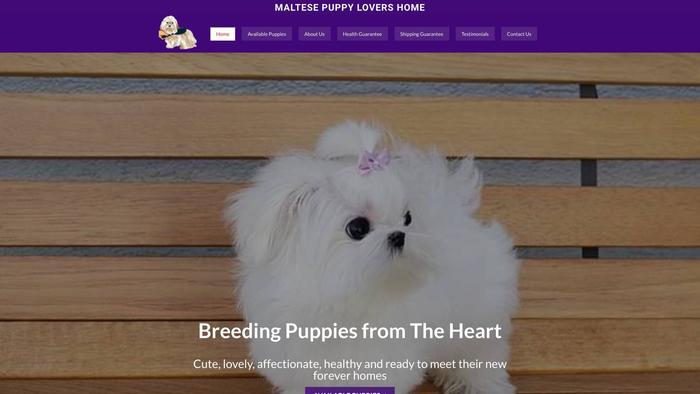 Maltesepuppylovers.com - Maltese Puppy Scam Review