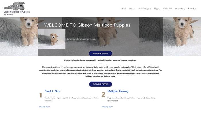 Maltipoohome.com - Maltipoo Puppy Scam Review