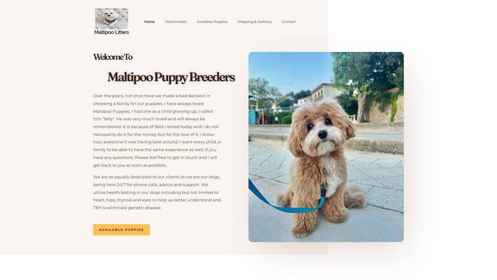 Maltipoopuppybreeder.com - Maltipoo Puppy Scam Review