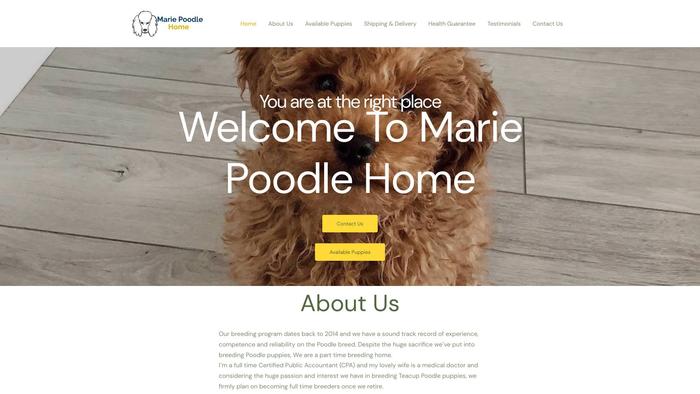 Mariepoodleshome.com - Poodle Puppy Scam Review