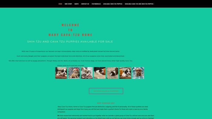 Marycavatzupuppies.com - Shihtzu Puppy Scam Review