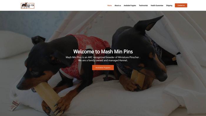 Mashminpins.com - Doberman Pinscher Puppy Scam Review