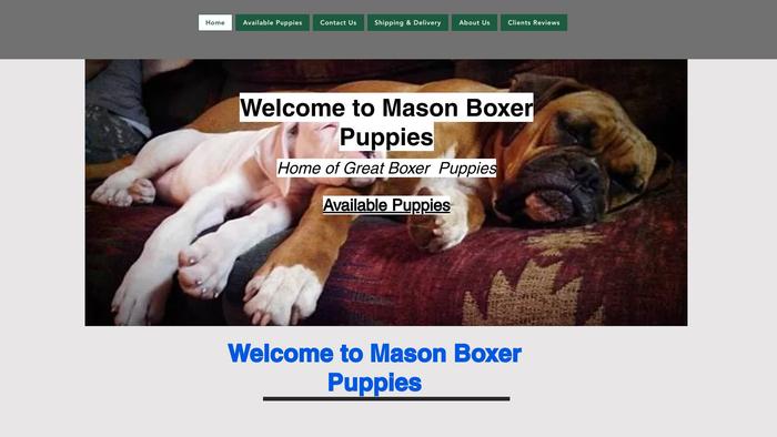 Masonboxerpuppies.com - Boxer Puppy Scam Review