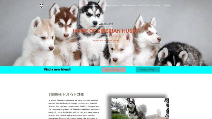 Mastersiberianhuskyhome.com - Husky Puppy Scam Review