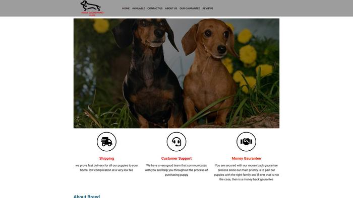 Megadachshundpups.com - Dachshund Puppy Scam Review