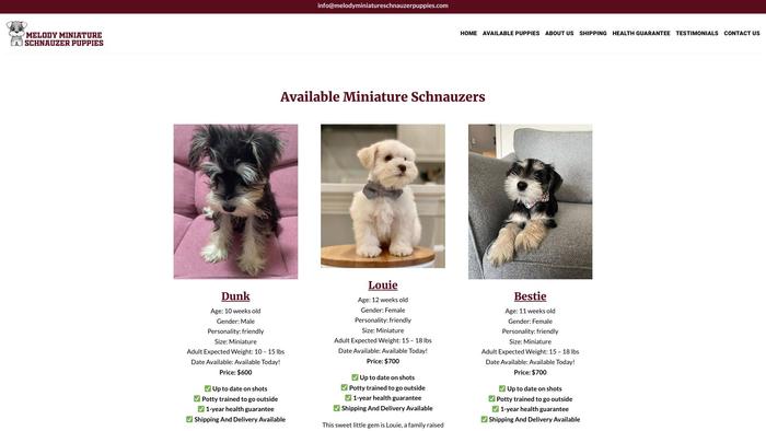 Melodyminiatureschnauzerpuppies.com - Schnauzer Puppy Scam Review