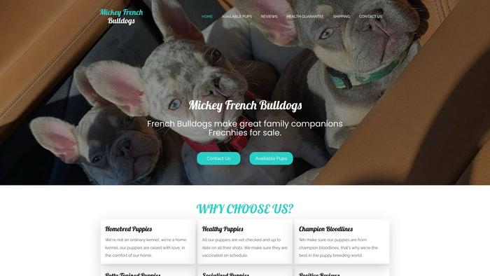 Mickeyfrenchbulldogs.com - French Bulldog Puppy Scam Review