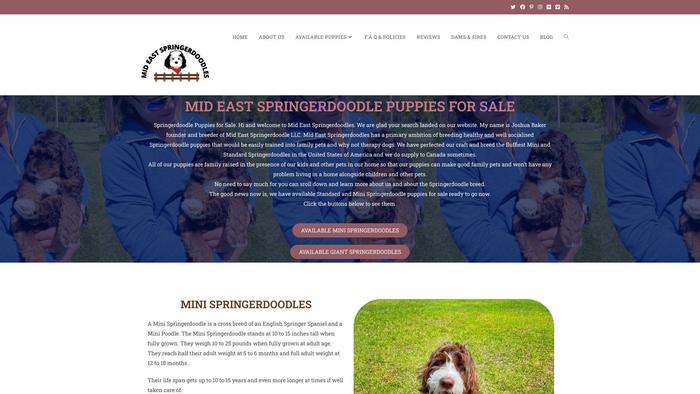 Mideastspringerdoodles.com - Labradoodle Puppy Scam Review