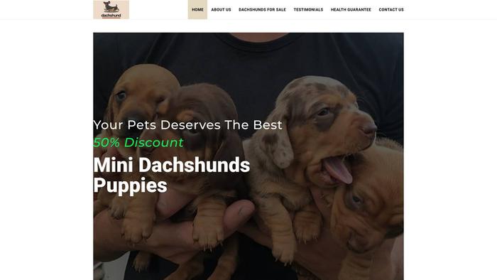 Mini-dachshundpups.com - Dachshund Puppy Scam Review