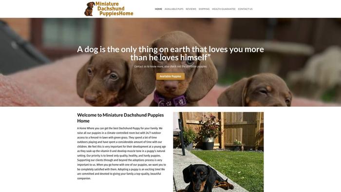 Miniaturedachshundpuppieshom.com - Dachshund Puppy Scam Review