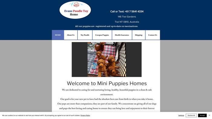 Minipuppieshomes.com - Cavapoo Puppy Scam Review