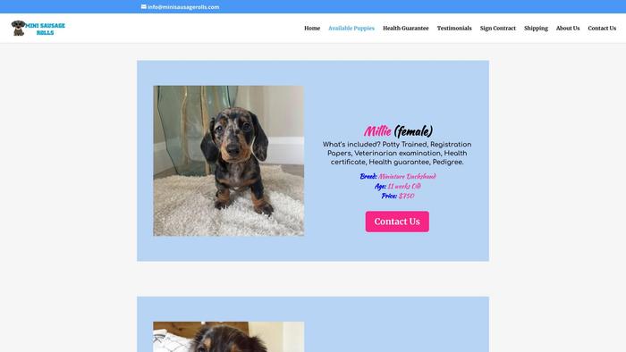 Minisausagerolls.com - Dachshund Puppy Scam Review