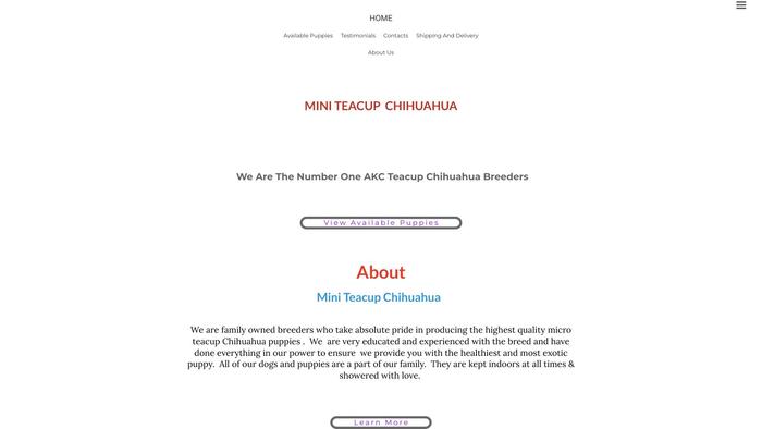 Miniteacupchihuahua.com - Chihuahua Puppy Scam Review