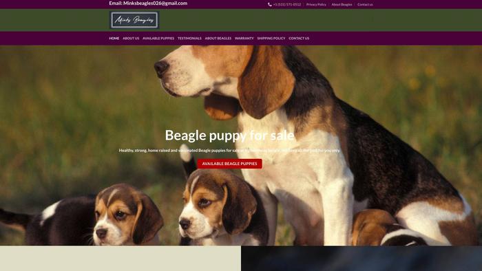 Minskbeagles.com - Beagle Puppy Scam Review