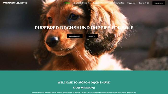 Mofondachshund.com - Dachshund Puppy Scam Review