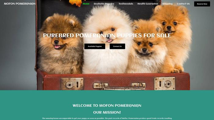 Mofonpomeranian.com - Pomeranian Puppy Scam Review