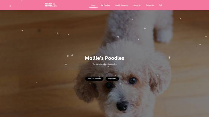 Molliespoodle.com - Poodle Puppy Scam Review