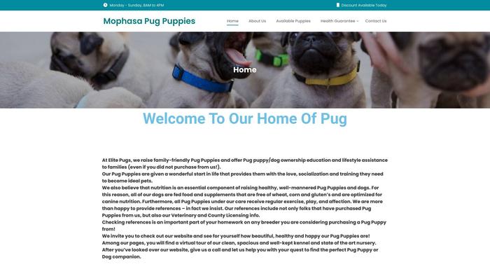 Mophasapugs.com - Pug Puppy Scam Review