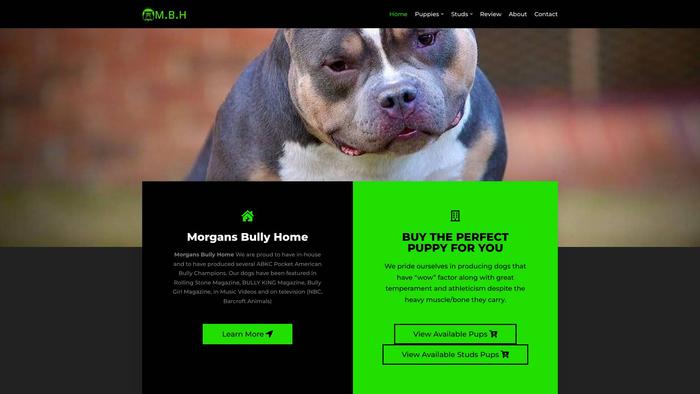 Morgansbullyhome.com - French Bulldog Puppy Scam Review