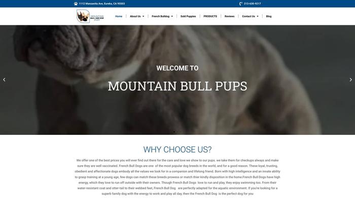 Mountainbullanddobpups.com - Doberman Pinscher Puppy Scam Review