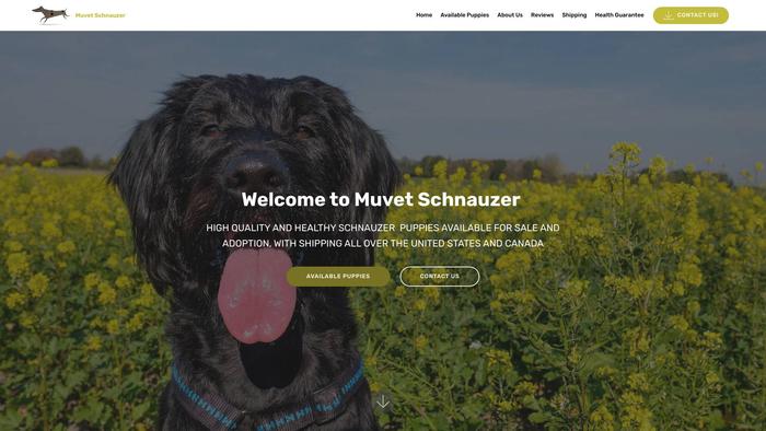 Muvetschnauzers.com - Schnauzer Puppy Scam Review