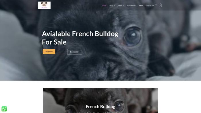 Mycutefriends.org - French Bulldog Puppy Scam Review