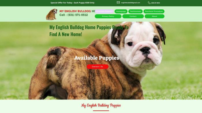 Myenglishbulldoghome.com - English Bulldog Puppy Scam Review