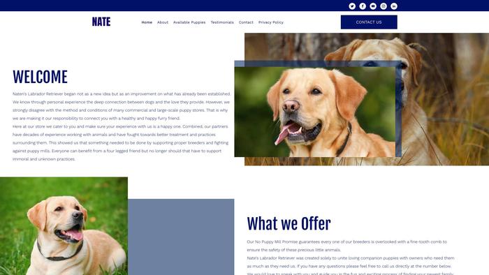 Nateslabradorretriever.com - Golden Retriever Puppy Scam Review