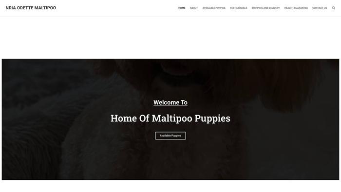 Ndiaodettemaltipoopuppies.com - Maltipoo Puppy Scam Review