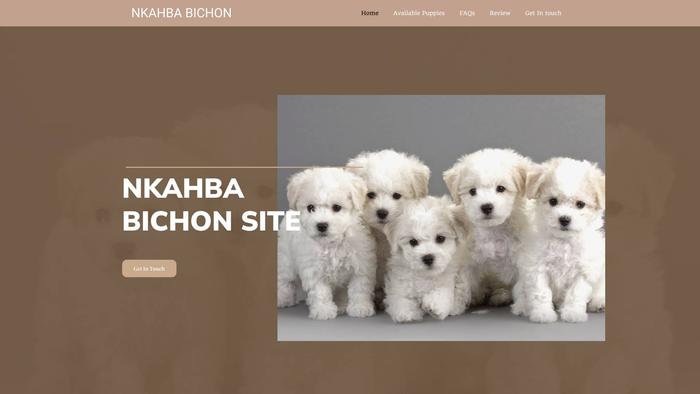 Nkahbabichon.com - Bichon Frise Puppy Scam Review