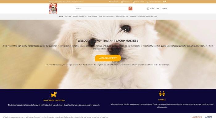 Northstarteacupmaltesepups.com - Maltese Puppy Scam Review