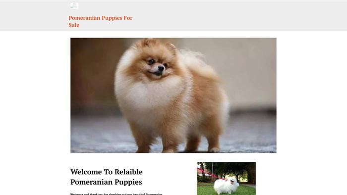 Nzpomeranianpupys.com - Pomeranian Puppy Scam Review