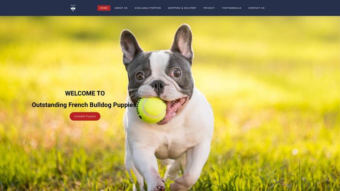 Outstandinghomebreedfrenchies.com - French Bulldog Puppy Scam Review