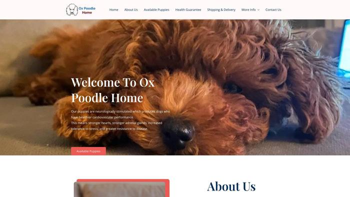 Oxpoodlehome.info - Poodle Puppy Scam Review