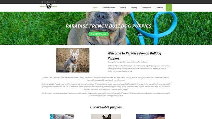 Paradisefrenchbulldogpuppies.com - French Bulldog Puppy Scam Review