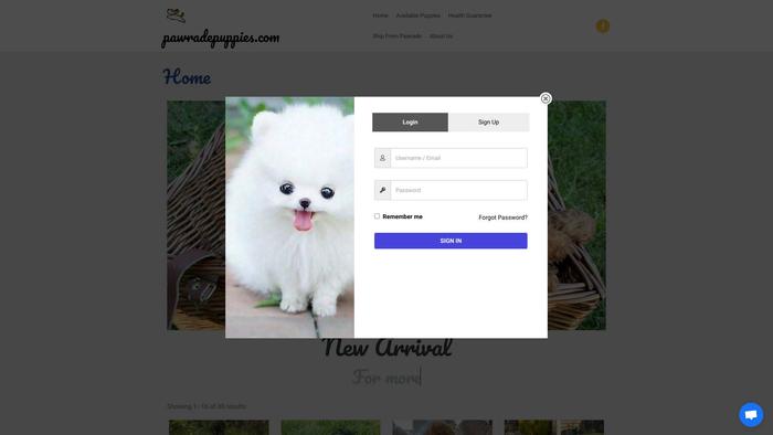 Pawradepuppies.com - French Bulldog Puppy Scam Review