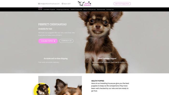 Perfectchihuahuas.com - Chihuahua Puppy Scam Review