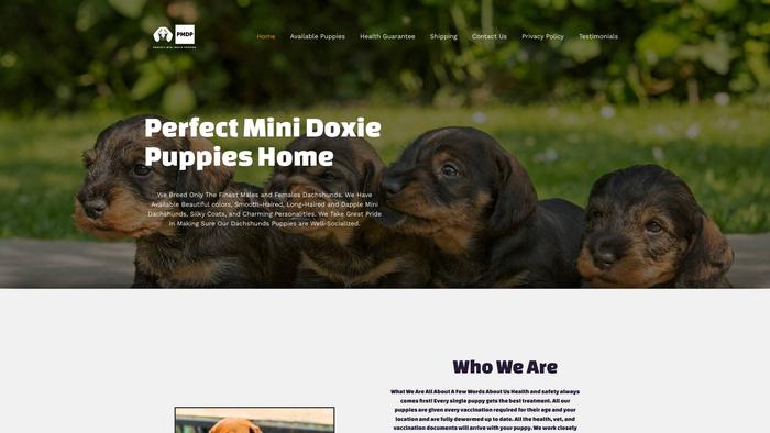 Perfectminidoxiepuppies.com - Dachshund Puppy Scam Review