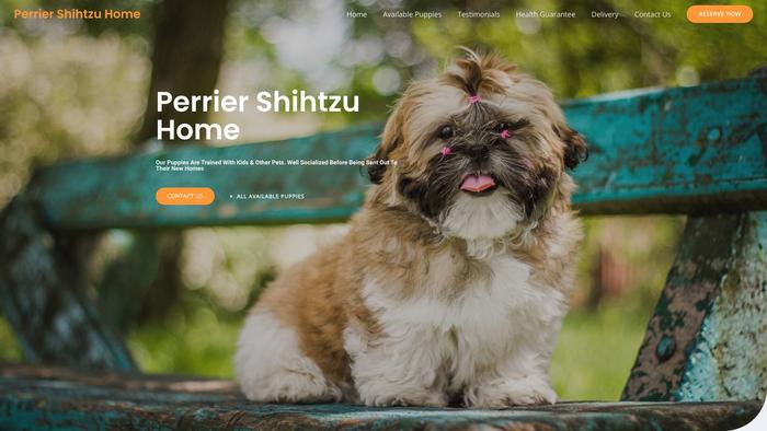 Perriershihtzuhome.com - Shihtzu Puppy Scam Review