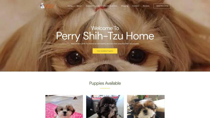 Perryshihtzuhome.com - Shihtzu Puppy Scam Review