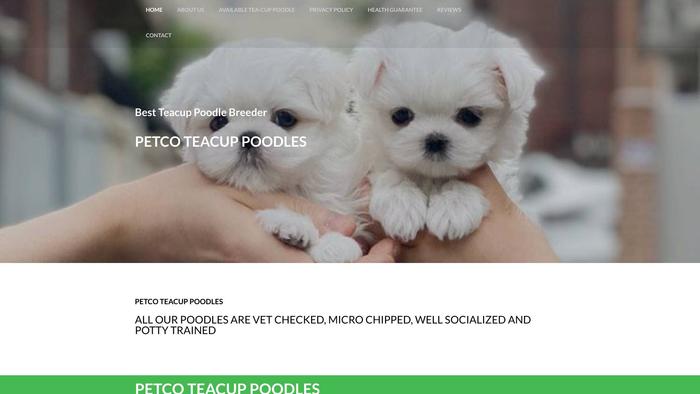 Petcoteacuppoodles.com - Poodle Puppy Scam Review