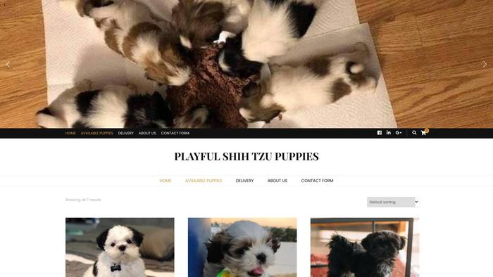 Playfulshihtzpuppies.com - Shihtzu Puppy Scam Review