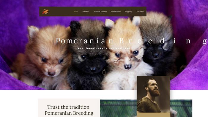 Pomeranianbreedinghome.com - Pomeranian Puppy Scam Review