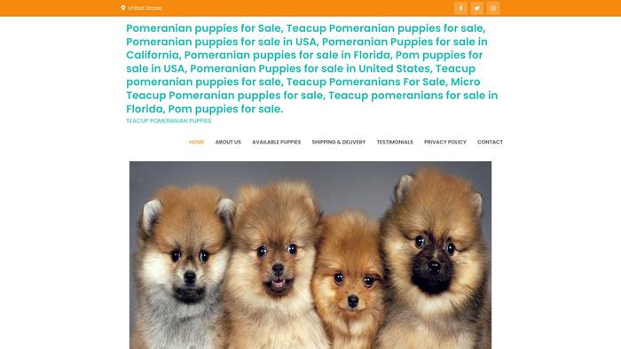 Pompuppies4homes.com - Pomeranian Puppy Scam Review