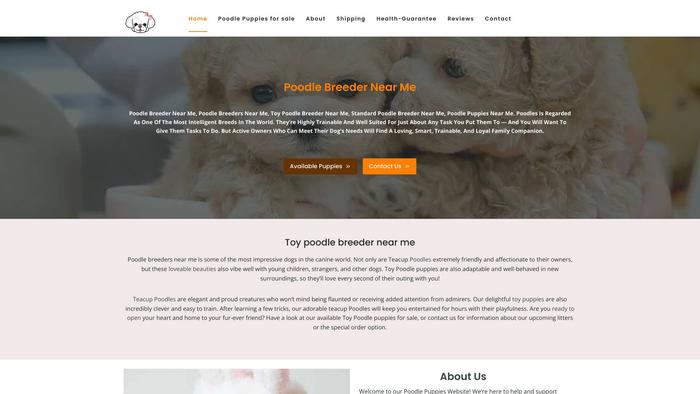 Poodlespring.com - Poodle Puppy Scam Review