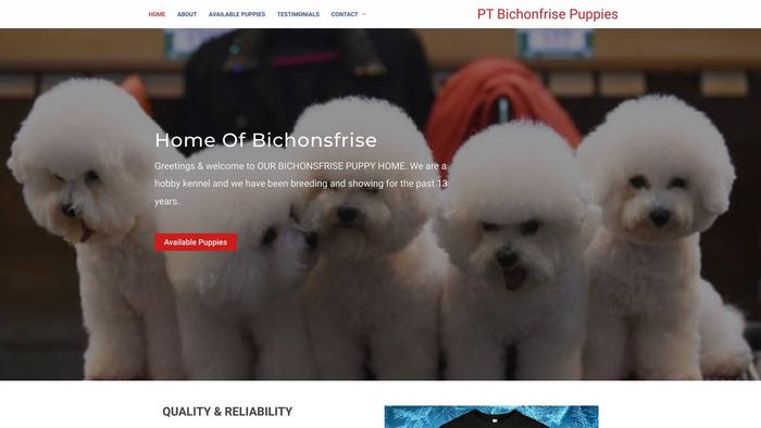 Pottytrainedbichonfrisepuppies.com - Bichon Frise Puppy Scam Review