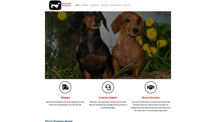 Pottytraineddachshunds.com - Dachshund Puppy Scam Review