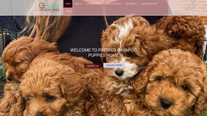 Premiercavapoopups.com - Cavapoo Puppy Scam Review