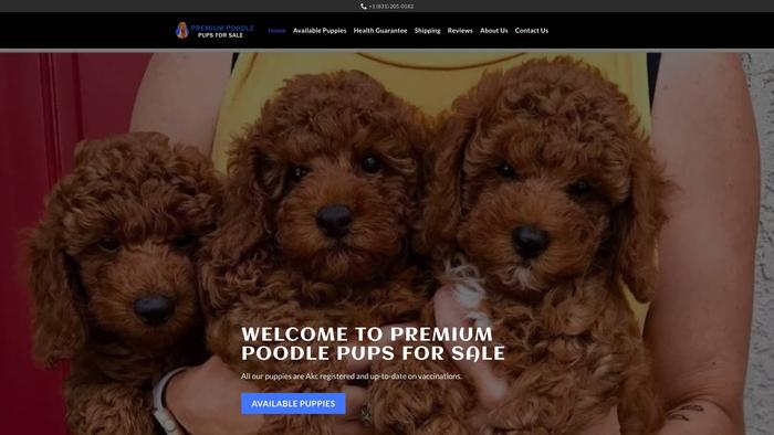 Premiumpoodlepupsforsale.com - Poodle Puppy Scam Review